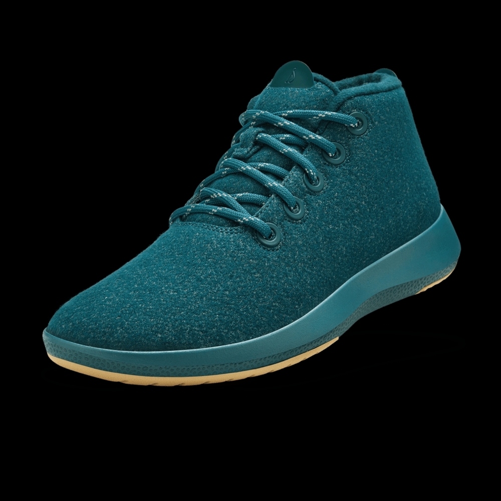Allbirds Runners